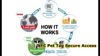 RFID 에폭시 애완동물 태그